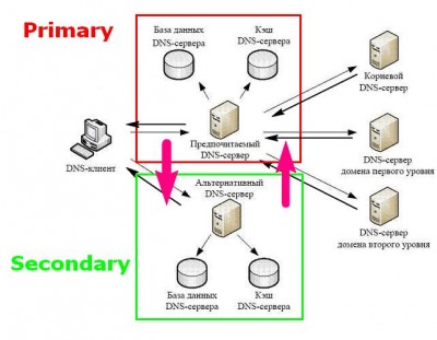 Первичный и вторичные DNS