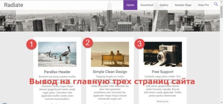 светлая тема WordPress Radiate