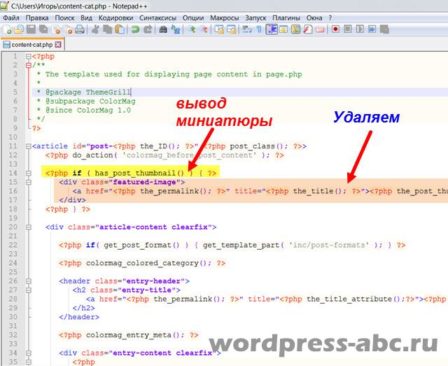 внешний-вид-архивов-wordpress-1