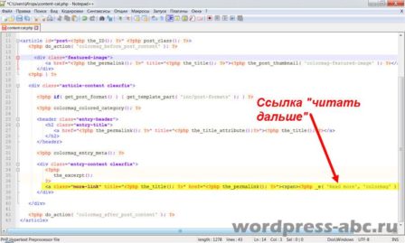 внешний-вид-архивов-wordpress-2