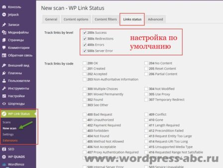 Настройки WP Link Status - Links status