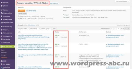 результат-сканирования-wp-link-status
