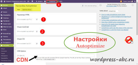 Настройка Autoptimize