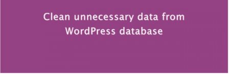 Easy WP Cleaner