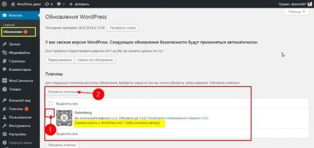 обновления плагинов из консоли сайта