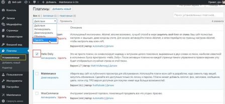 удалить плагин в административной панели WordPress