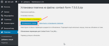 активировать плагин сразу после загрузки