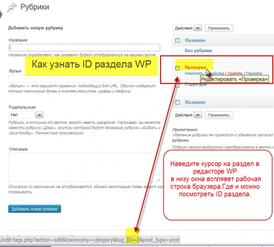 Узнать ID разделов WP