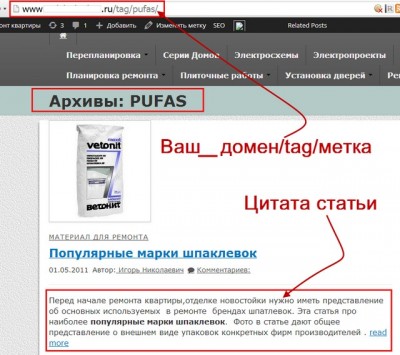 Метки WordPress