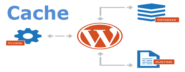 Кеш Wordpress