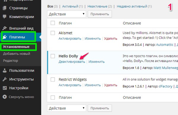 удалить-плагин-wordpress-2