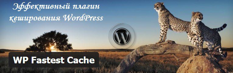 Плагин WP Fastest Cache