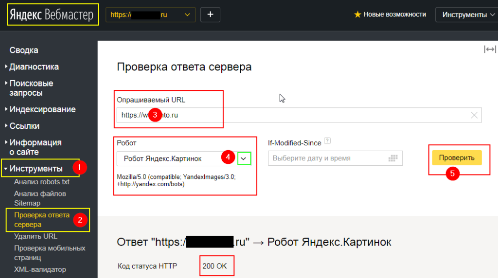 Wordpress проверить