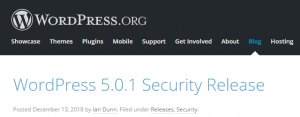 WordPress 5.0.1