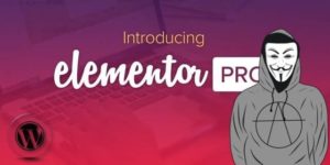 Атака на Elementor Pro