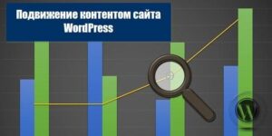 продвижение контентом сайта WordPress