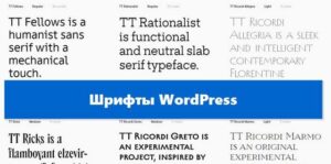 Шрифты Wordpress статья