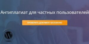 проблема плагиата в Интернет