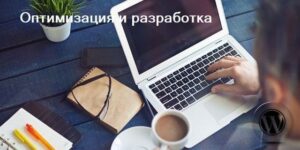 оптимизация и разработка сайта